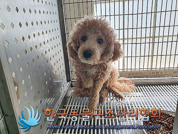 한국동물구조관리협회_411323202300438